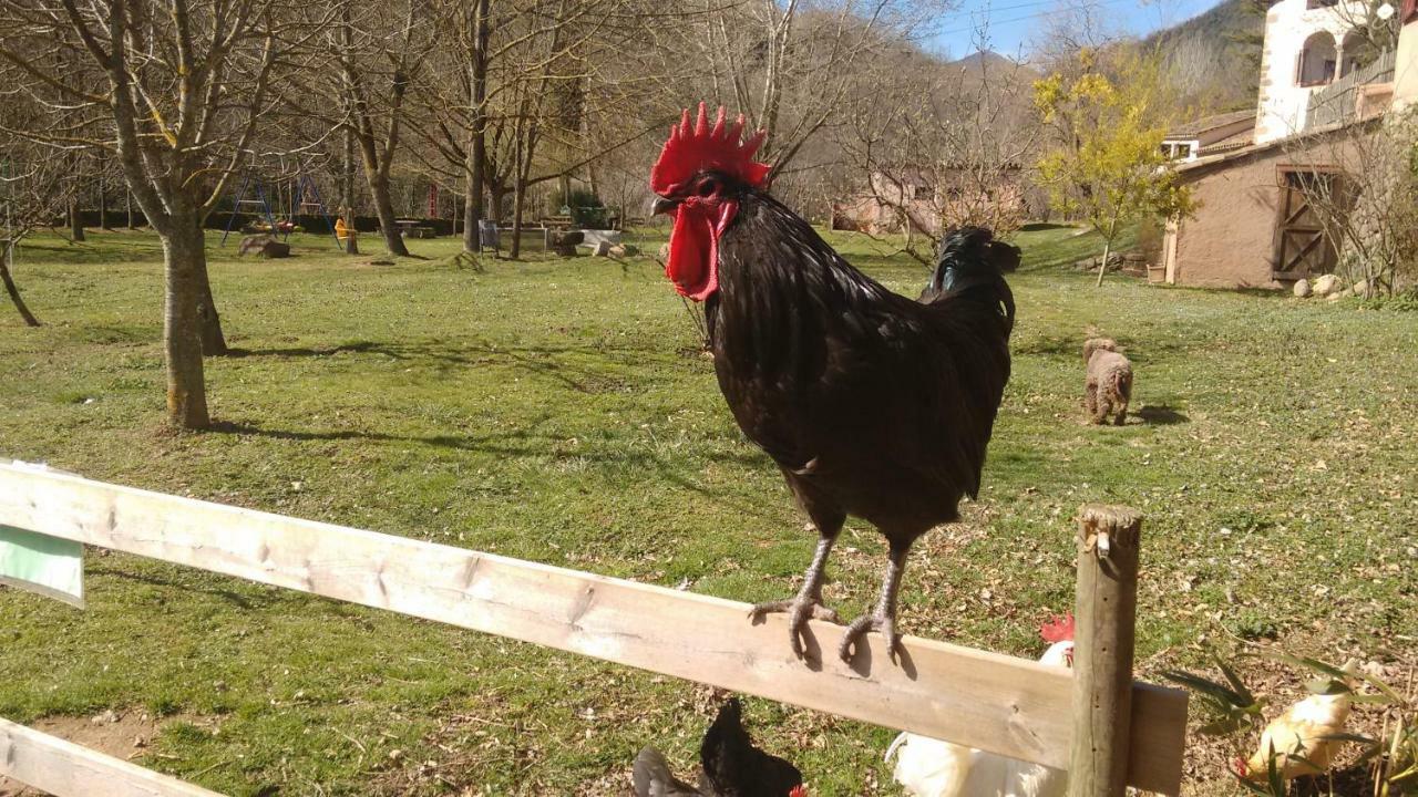 El Moli D'En Sola-Allotjaments Rurals فاي دي فيانيا المظهر الخارجي الصورة